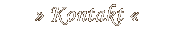 Kontakt